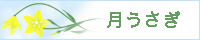 月うさぎ